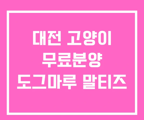 대전 고양이 무료분양 도그마루 말티즈 대전 고양이 무료분양 도그마루 말티즈