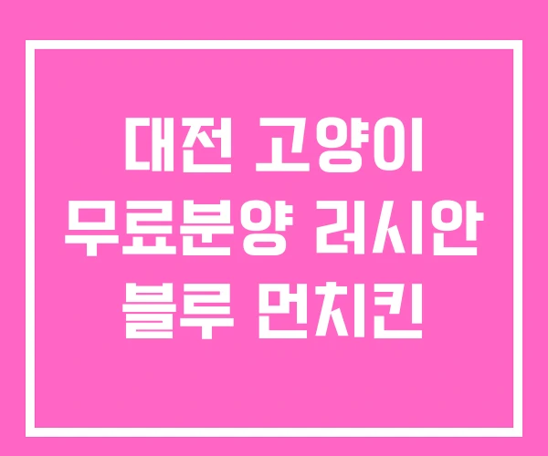 대전 고양이 무료분양 러시안 블루 먼치킨