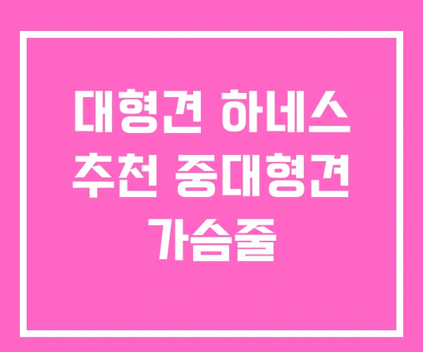 대형견 하네스 추천 중대형견 가슴줄 대형견 하네스 추천 중대형견 가슴줄