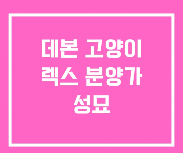 데본 고양이 렉스 분양가 성묘