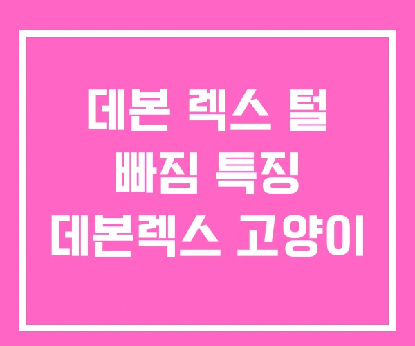 데본 렉스 털 빠짐 특징 데본렉스 고양이 데본 렉스 털 빠짐 특징 데본렉스 고양이