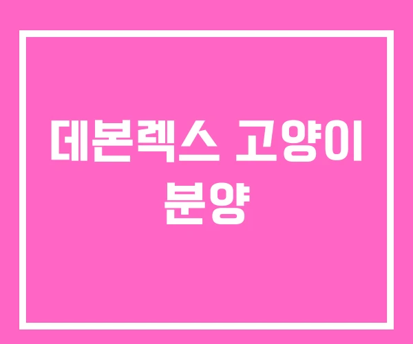 데본렉스 고양이 분양 데본렉스 고양이 분양
