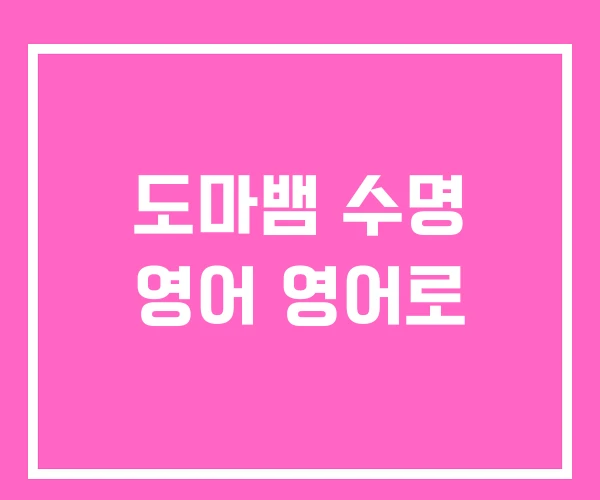 도마뱀 수명 영어 영어로