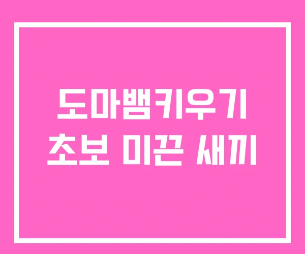 도마뱀키우기 초보 미끈 새끼