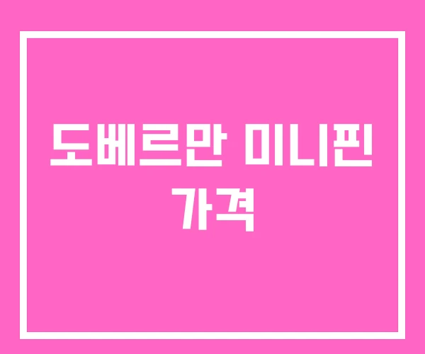 도베르만 미니핀 가격