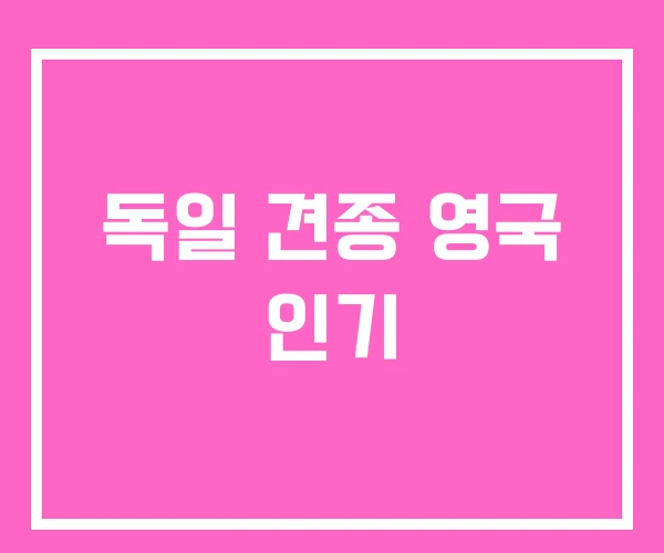 독일 견종 영국 인기 독일 견종 영국 인기