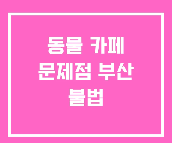 동물 카페 문제점 부산 불법