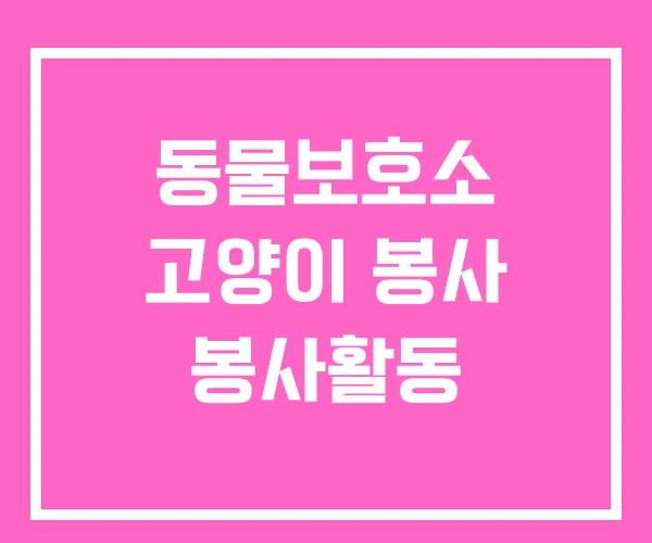 동물보호소 고양이 봉사 봉사활동 동물보호소 고양이 봉사 봉사활동
