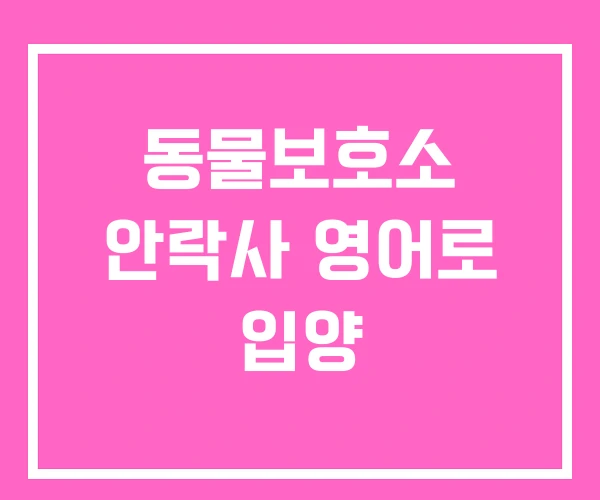 동물보호소 안락사 영어로 입양 동물보호소 안락사 영어로 입양