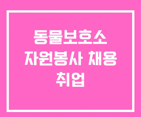 동물보호소 자원봉사 채용 취업