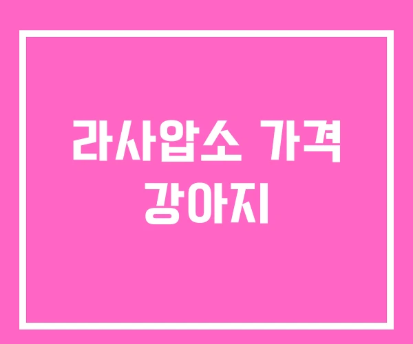 라사압소 가격 강아지