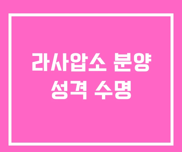 라사압소 분양 성격 수명