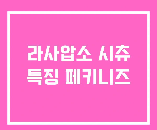 라사압소 시츄 특징 페키니즈