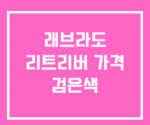 래브라도 리트리버 가격 검은색