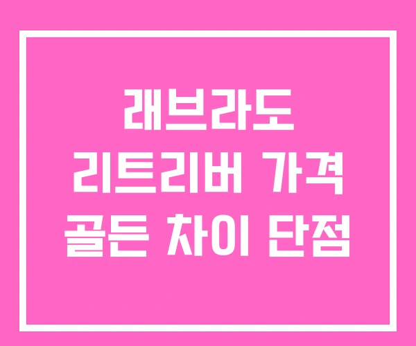 래브라도 리트리버 가격 골든 차이 단점