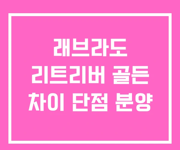 래브라도 리트리버 골든 차이 단점 분양 래브라도 리트리버 골든 차이 단점 분양