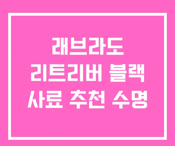 래브라도 리트리버 블랙 사료 추천 수명