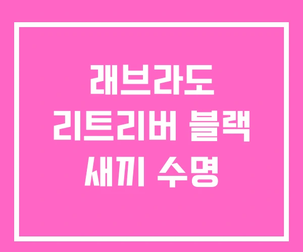 래브라도 리트리버 블랙 새끼 수명