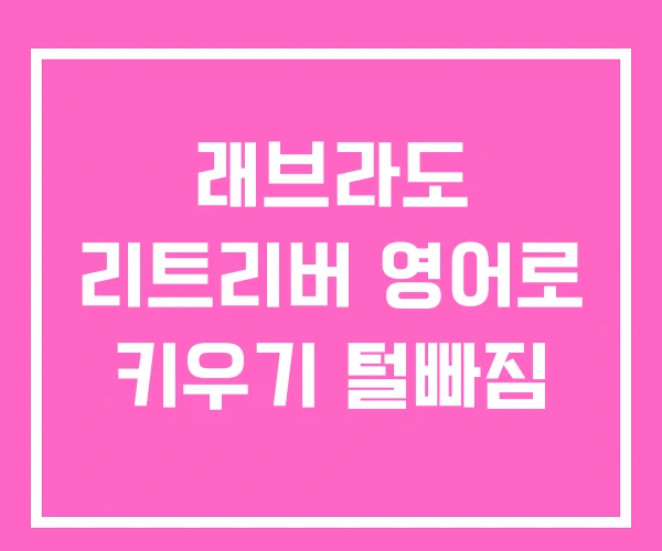 래브라도 리트리버 영어로 키우기 털빠짐
