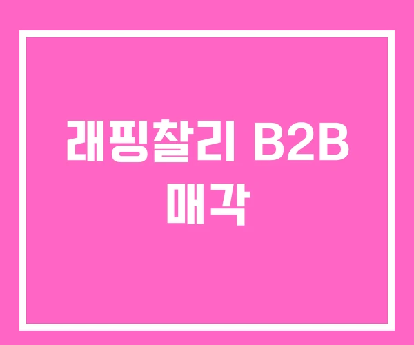 래핑찰리 B2B 매각