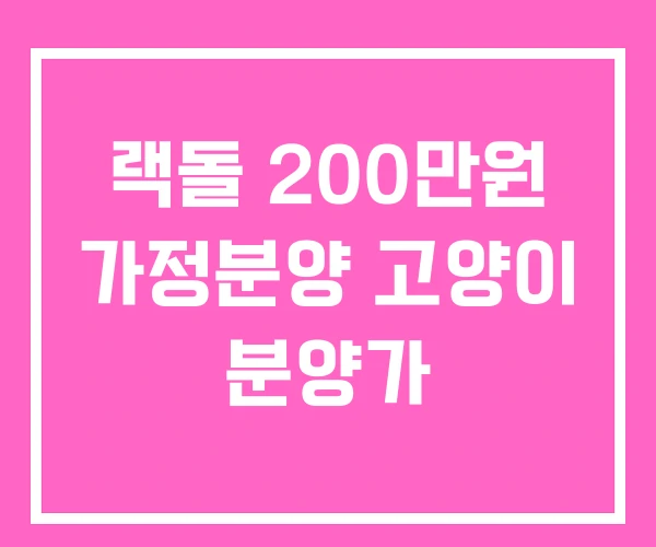 랙돌 200만원 가정분양 고양이 분양가