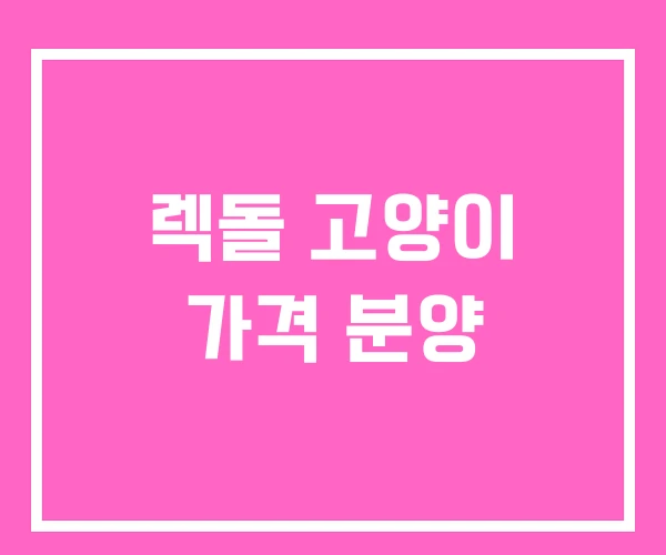 렉돌 고양이 가격 분양