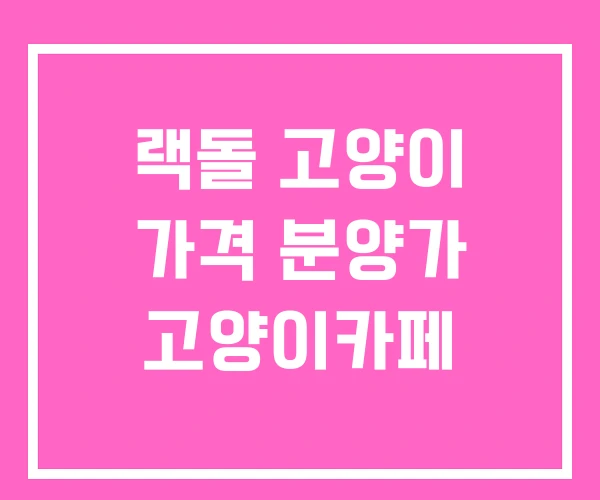 랙돌 고양이 가격 분양가 고양이카페 랙돌 고양이 가격 분양가 고양이카페