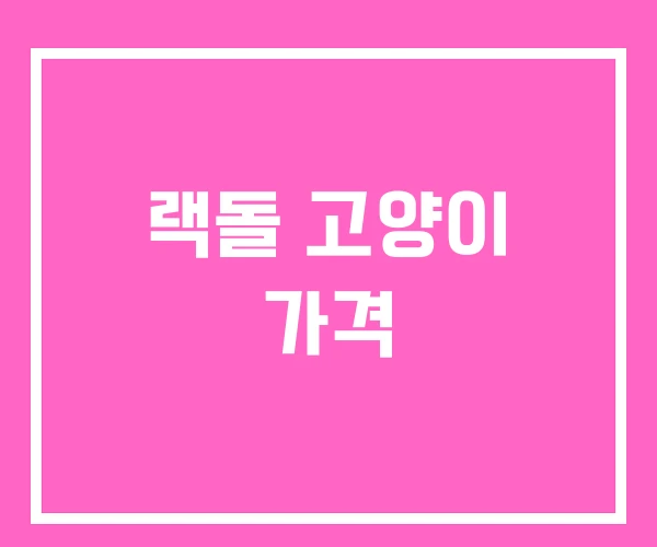 랙돌 고양이 가격