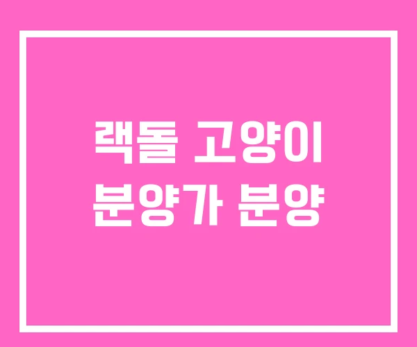 랙돌 고양이 분양가 분양