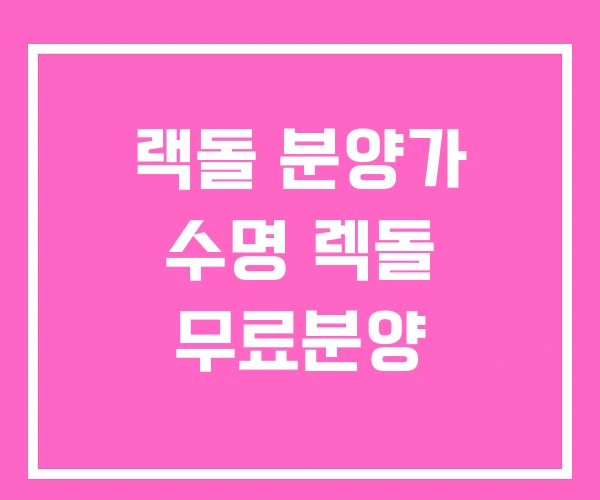 랙돌 분양가 수명 렉돌 무료분양