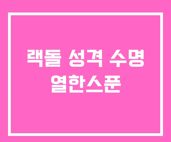 랙돌 성격 수명 열한스푼