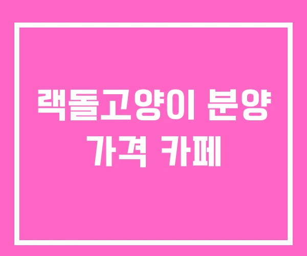 랙돌고양이 분양 가격 카페 랙돌고양이 분양 가격 카페