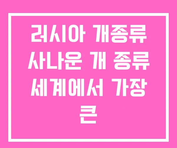 러시아 개종류 사나운 개 종류 세계에서 가장 큰