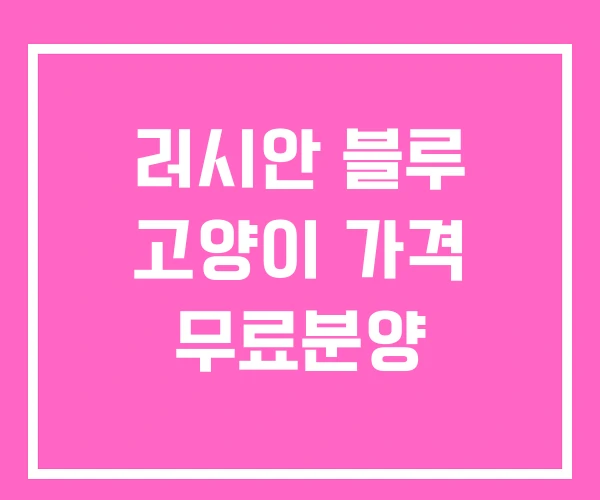 러시안 블루 고양이 가격 무료분양 러시안 블루 고양이 가격 무료분양