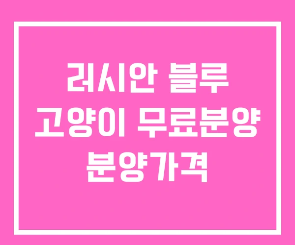 러시안 블루 고양이 무료분양 분양가격