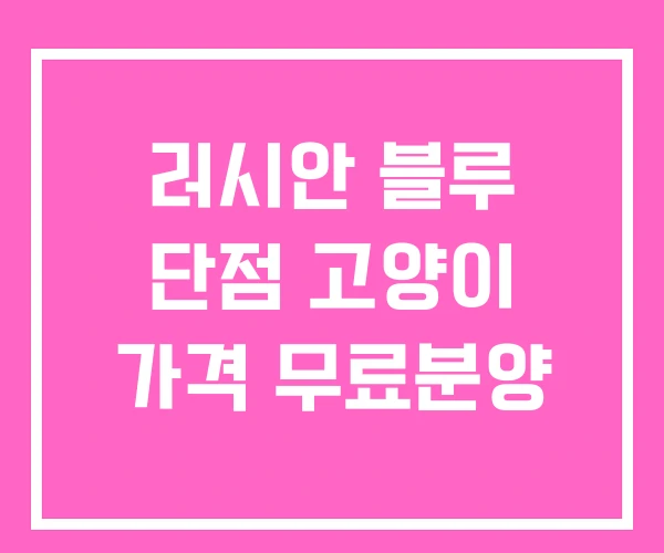 러시안 블루 단점 고양이 가격 무료분양