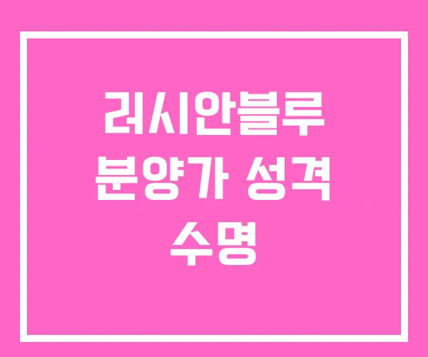러시안블루 분양가 성격 수명
