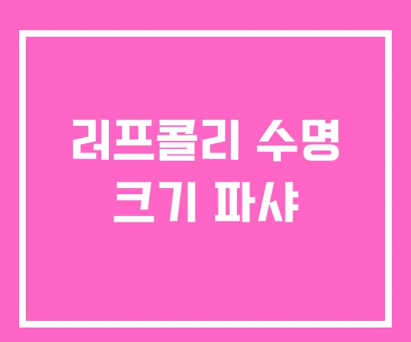 러프콜리 수명 크기 파샤