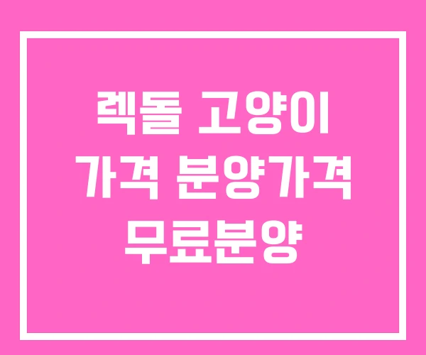 렉돌 고양이 가격 분양가격 무료분양