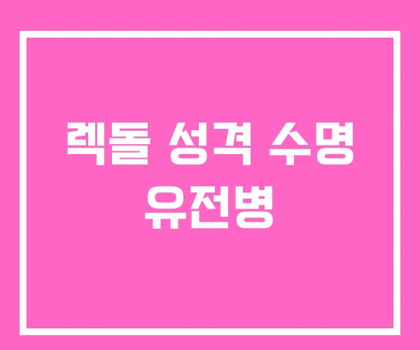 렉돌 성격 수명 유전병 렉돌 성격 수명 유전병