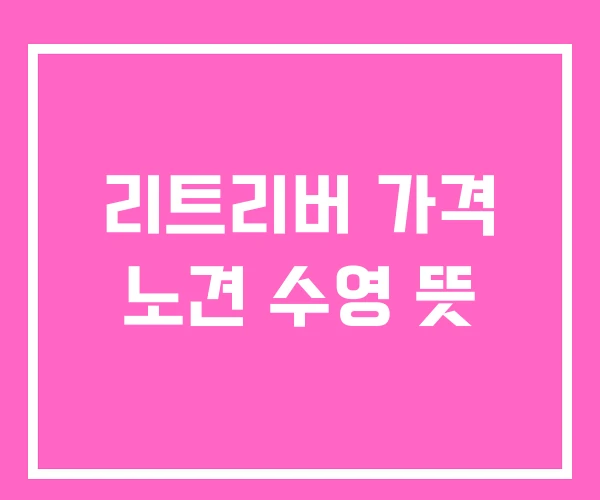 리트리버 가격 노견 수영 뜻 리트리버 가격 노견 수영 뜻