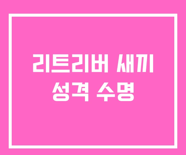 리트리버 새끼 성격 수명