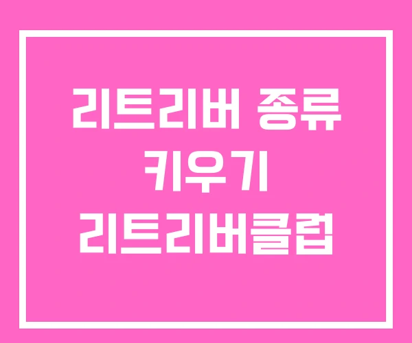 리트리버 종류 키우기 리트리버클럽 리트리버 종류 키우기 리트리버클럽
