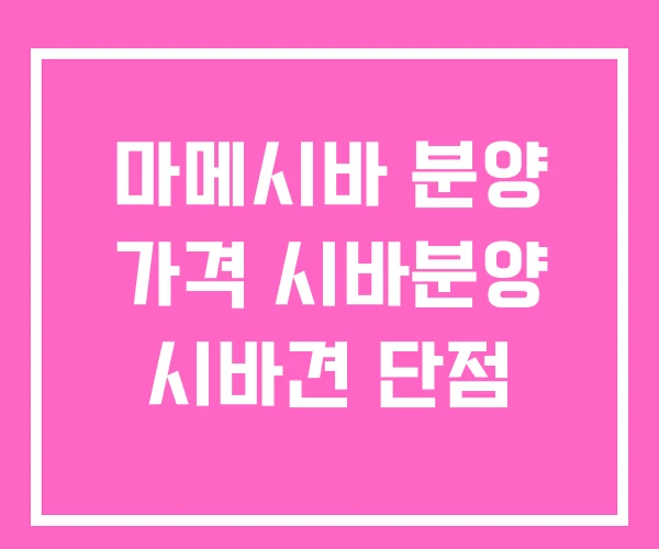 마메시바 분양 가격 시바분양 시바견 단점
