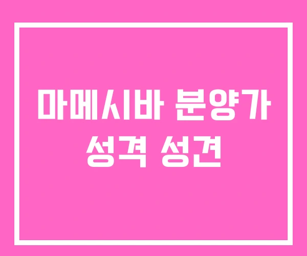 마메시바 분양가 성격 성견 마메시바 분양가 성격 성견