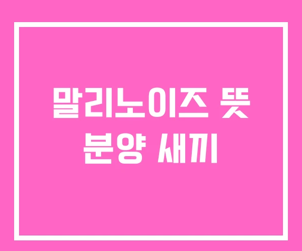 말리노이즈 뜻 분양 새끼