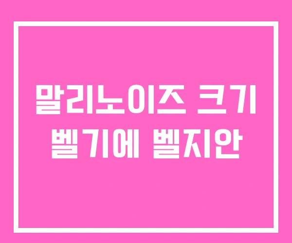 말리노이즈 크기 벨기에 벨지안