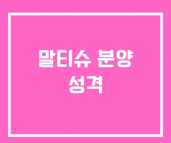 말티슈 분양 성격