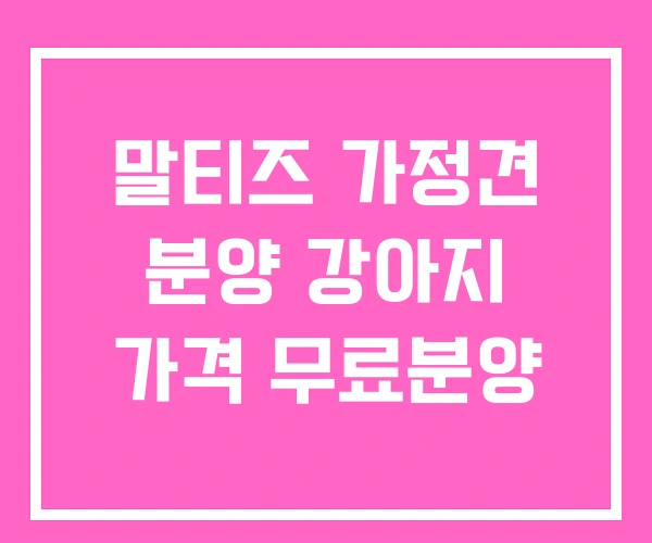 말티즈 가정견 분양 강아지 가격 무료분양