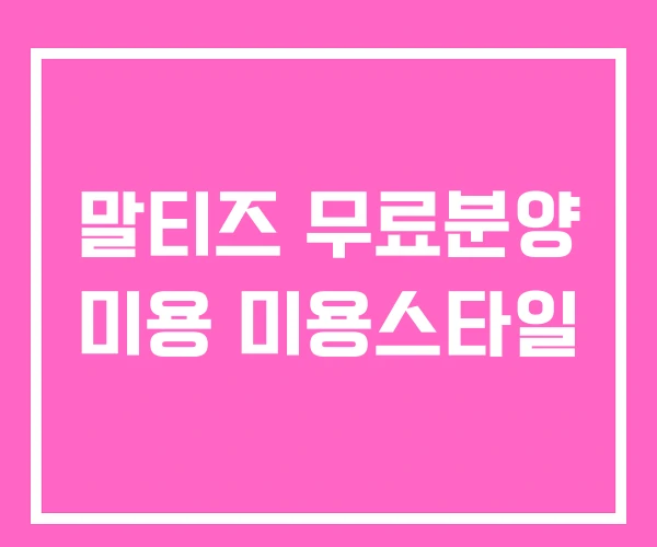 말티즈 무료분양 미용 미용스타일